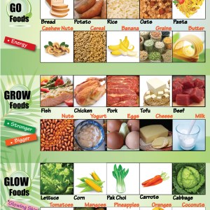 Go, Grow and Glow Foods as charts, posters or teaching aids.