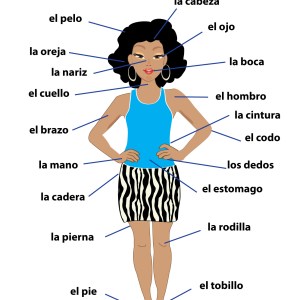 parts-of-the-body-spanish