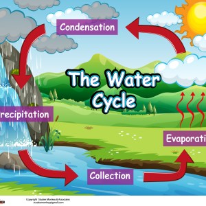 The Water Cycle
