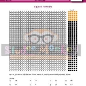 Squared Numbers - 4 Activities