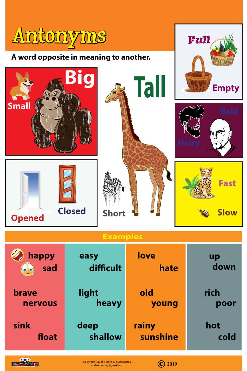 Antonyms Chart / Poster / Teaching Aid
