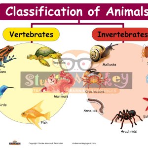 The Classification of Animals