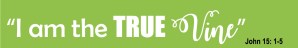 I am the true vine